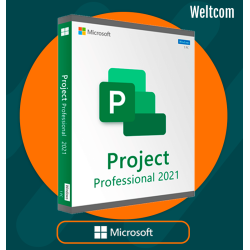 PROJECT PROFESSIONAL PLUS 2021