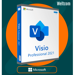 VISIO PROFESSIONAL 2021