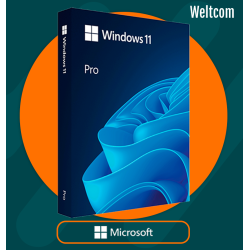 WINDOWS 11 PRO