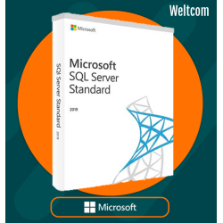 SQL SERVER 2019 STANDARD